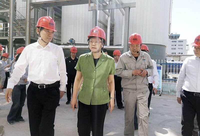 2019年5月23日，全国政协副主席李斌（左二）到尊龙凯时人生就是搏调研