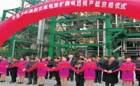 2000-2005年，选取意大利欧技工艺技术，相继建成了三套三聚氰胺出产装置，年产能5.4万吨